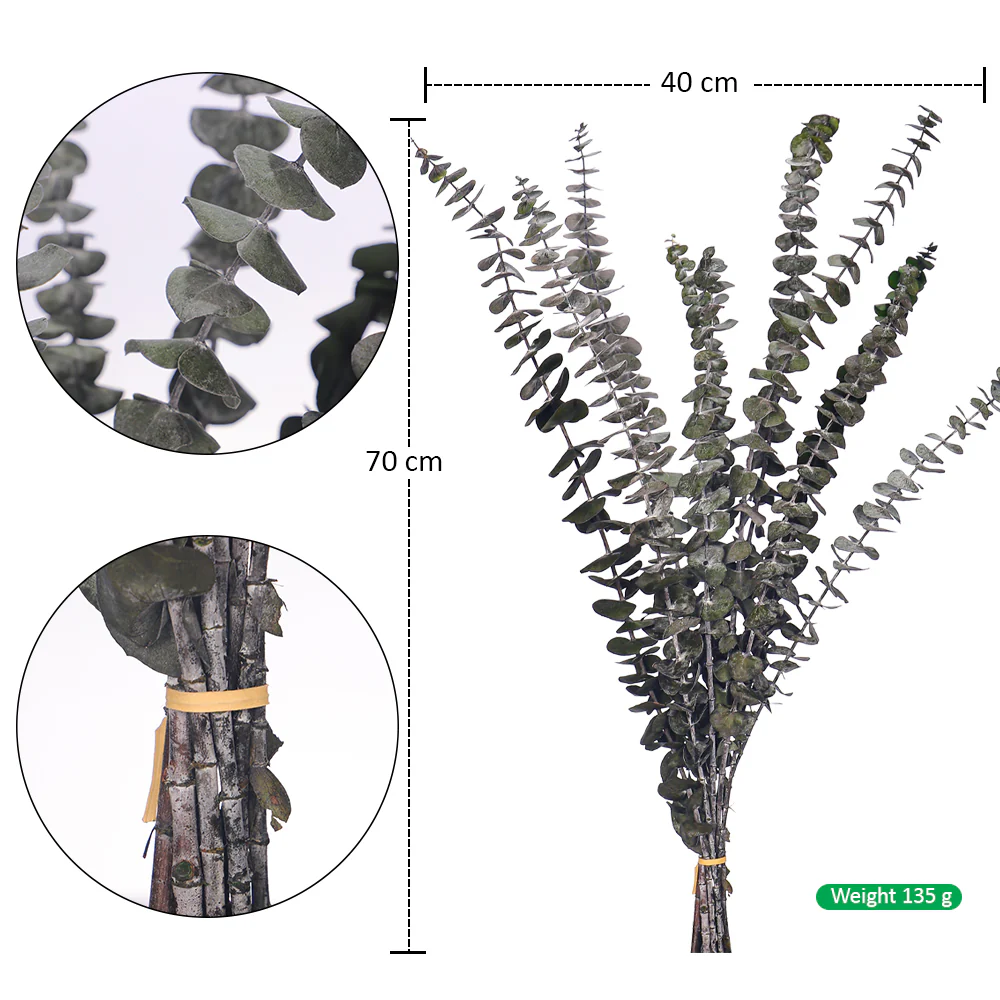 Preserved Dried Eucalyptus Leaves(without vase) - Image 2