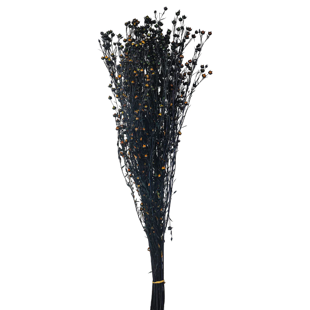 Preserved Dried Flax Flower - Image 3