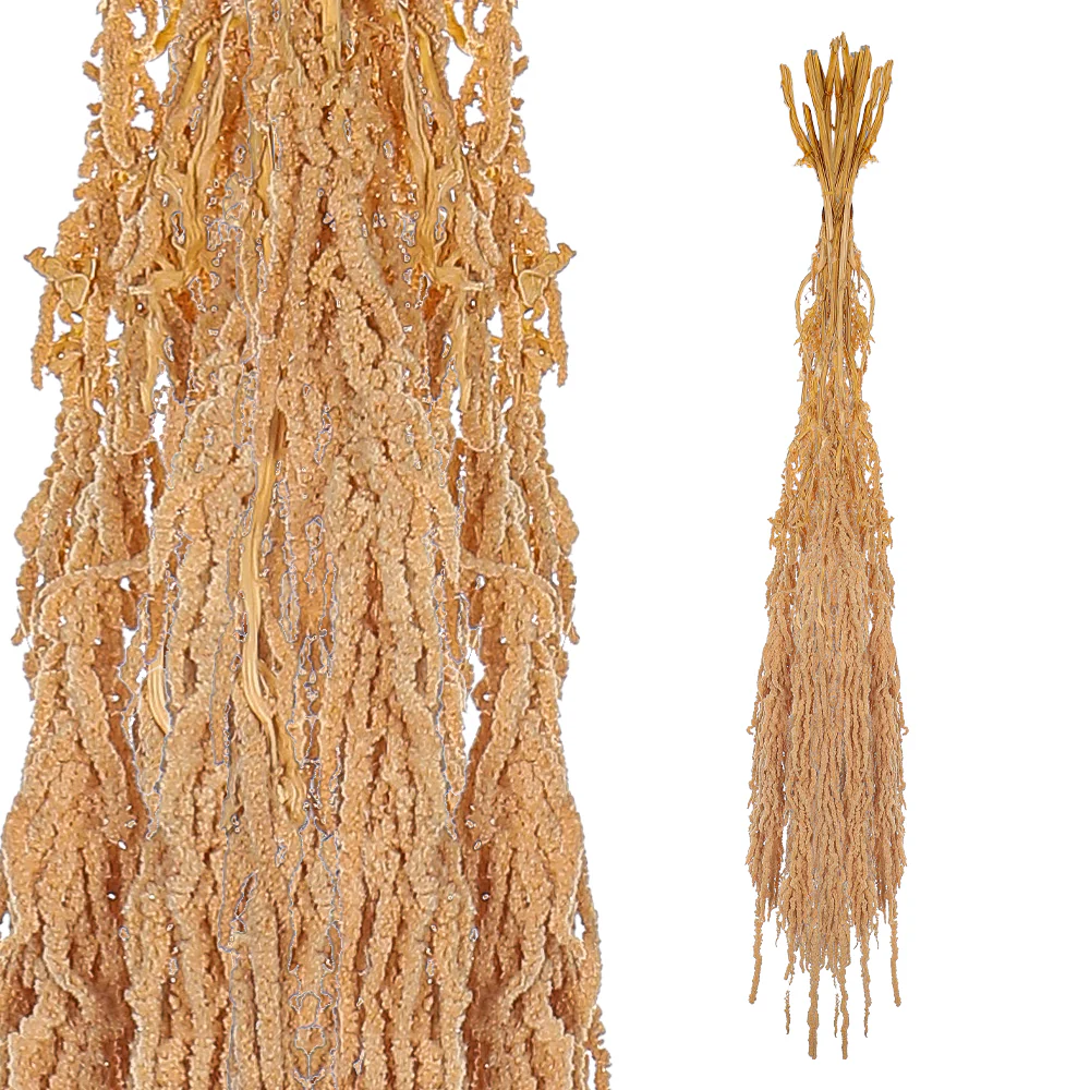 Preserved Dried Hanging Flower(without vase) - Image 11
