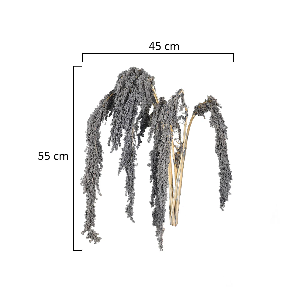 Preserved Dried Hanging Flower(without vase) - Image 13