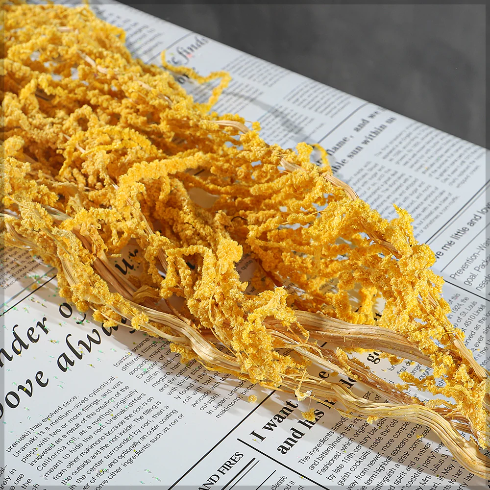 Preserved Dried Hanging Flower(without vase) - Image 17