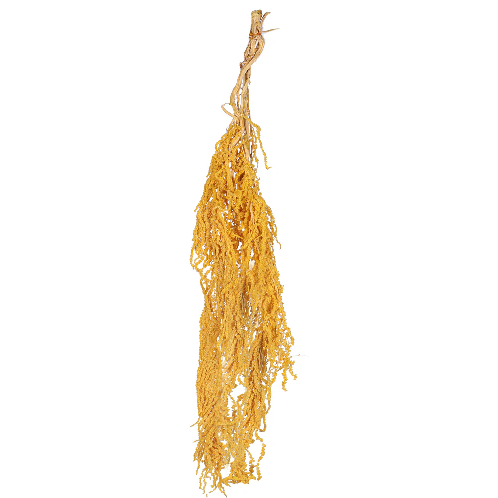 Preserved Dried Hanging Flower(without vase) - Image 18