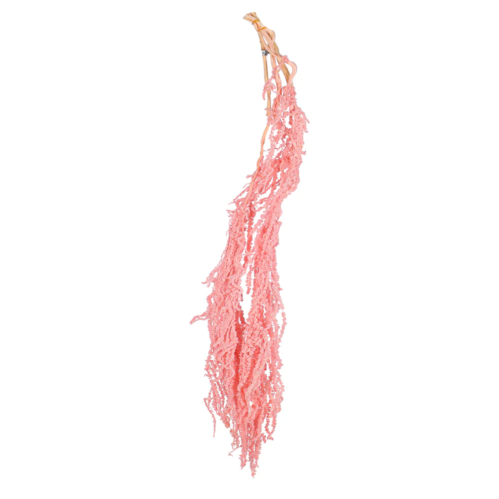 Preserved Dried Hanging Flower(without vase) - Image 22