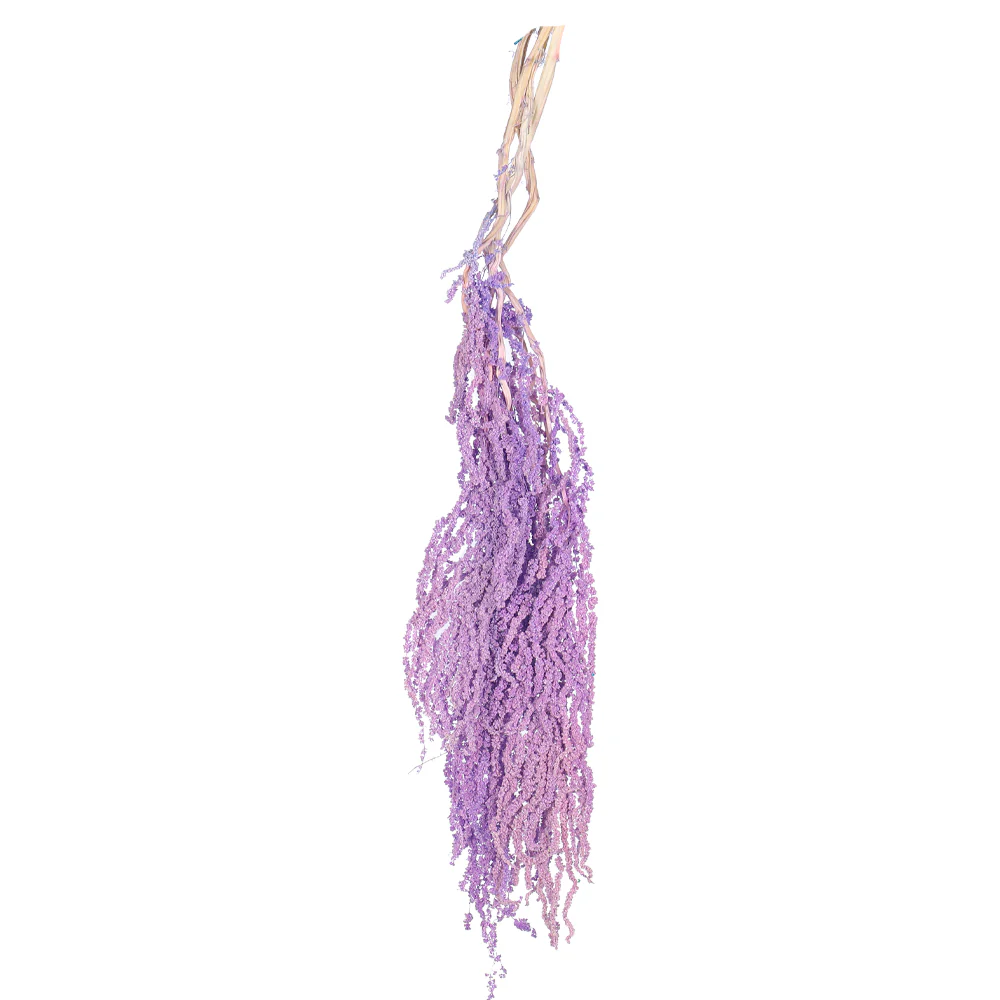 Preserved Dried Hanging Flower(without vase) - Image 26