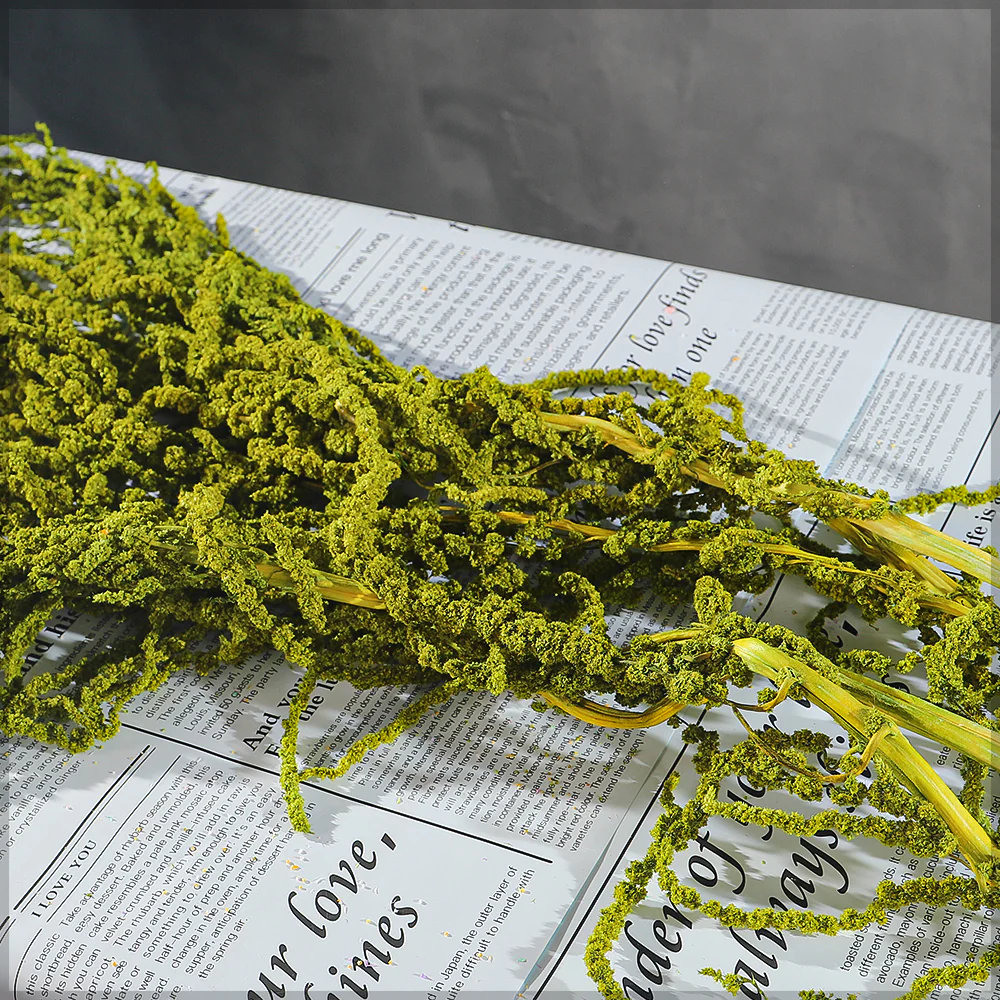 Preserved Dried Hanging Flower(without vase) - Image 41