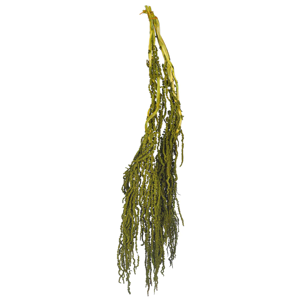 Preserved Dried Hanging Flower(without vase) - Image 42