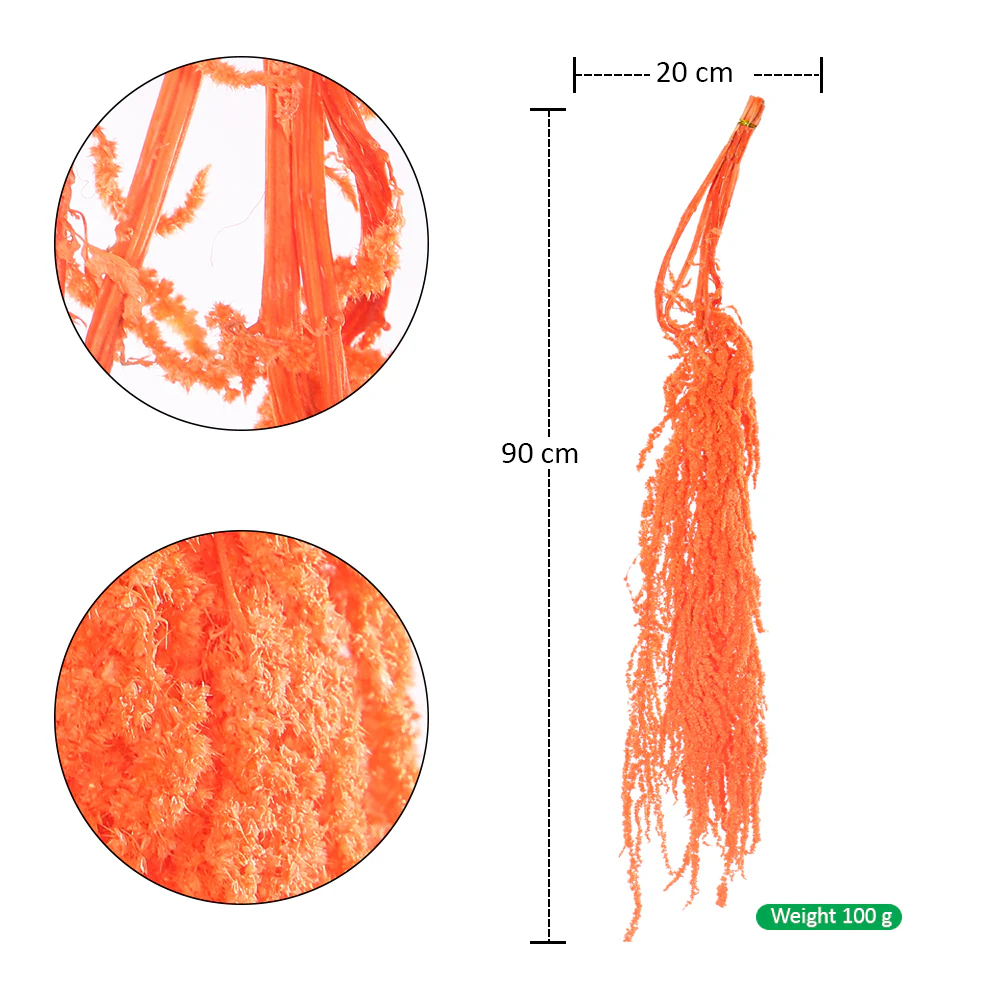 Preserved Dried Hanging Flower(without vase) - Image 50