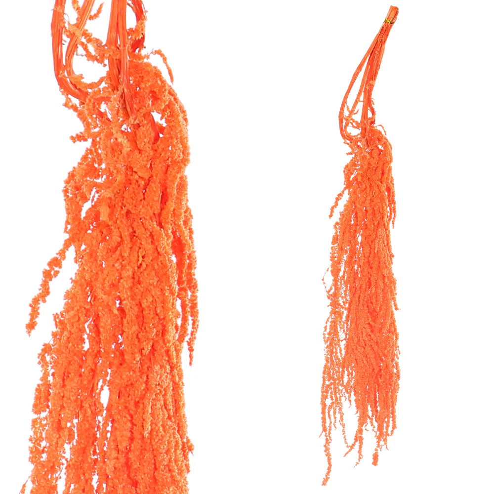 Preserved Dried Hanging Flower(without vase) - Image 51