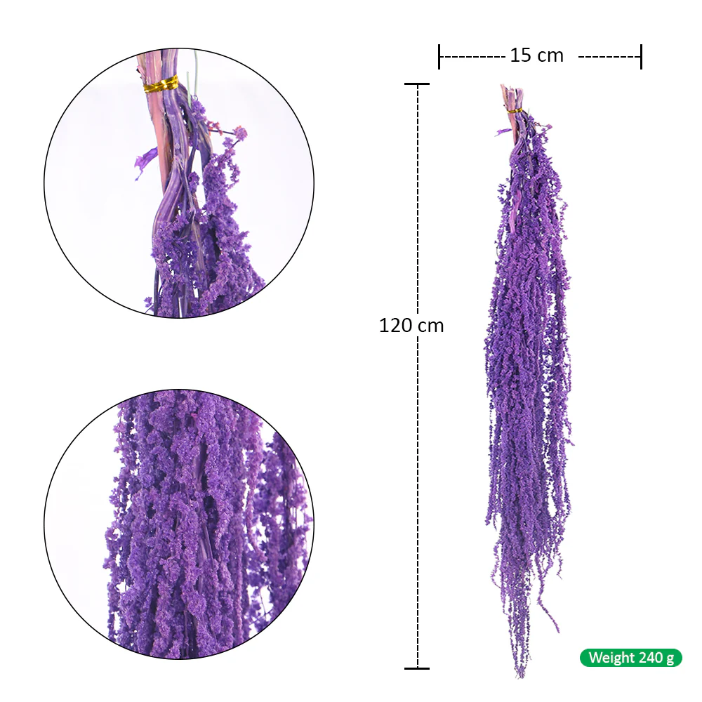 Preserved Dried Hanging Flower(without vase) - Image 56