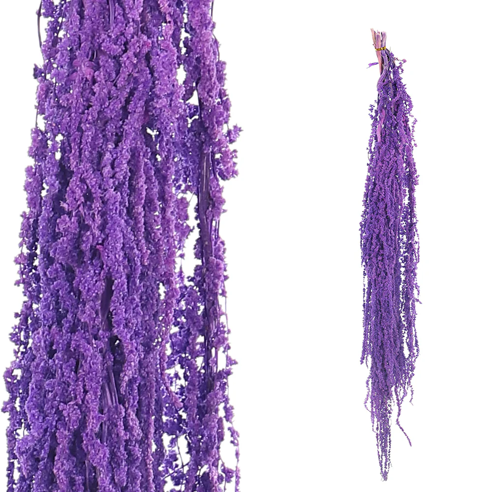 Preserved Dried Hanging Flower(without vase) - Image 57