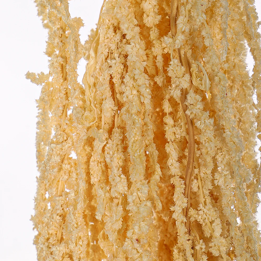 Preserved Dried Hanging Flower(without vase) - Image 7
