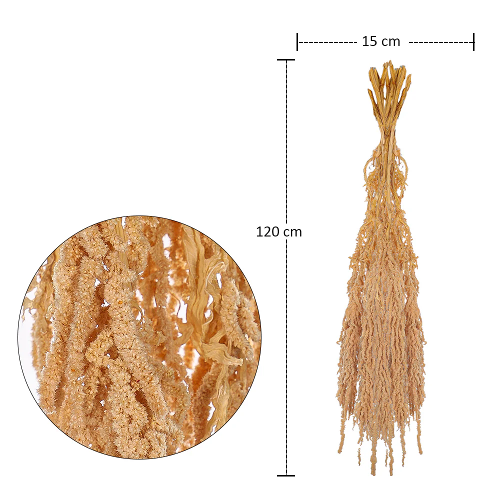 Preserved Dried Hanging Flower(without vase) - Image 9