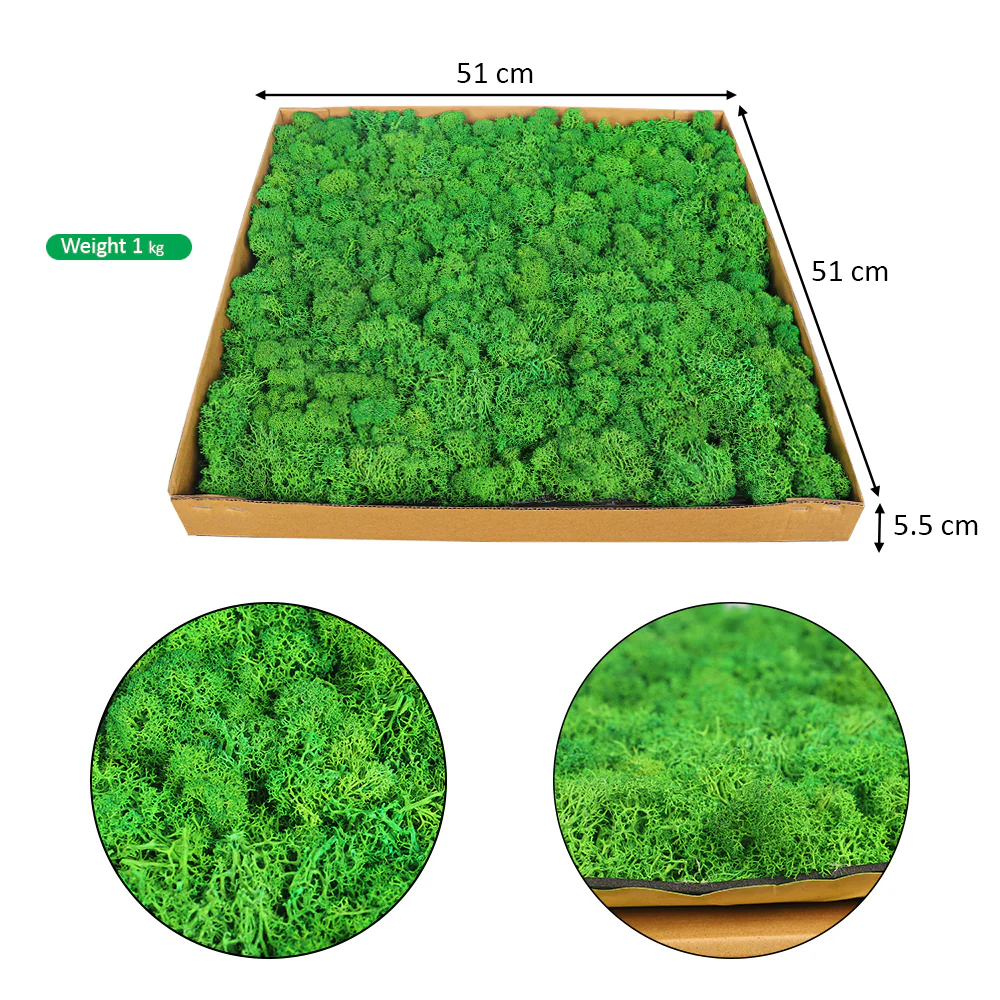 Preserved Moss Wall Panels - Image 2
