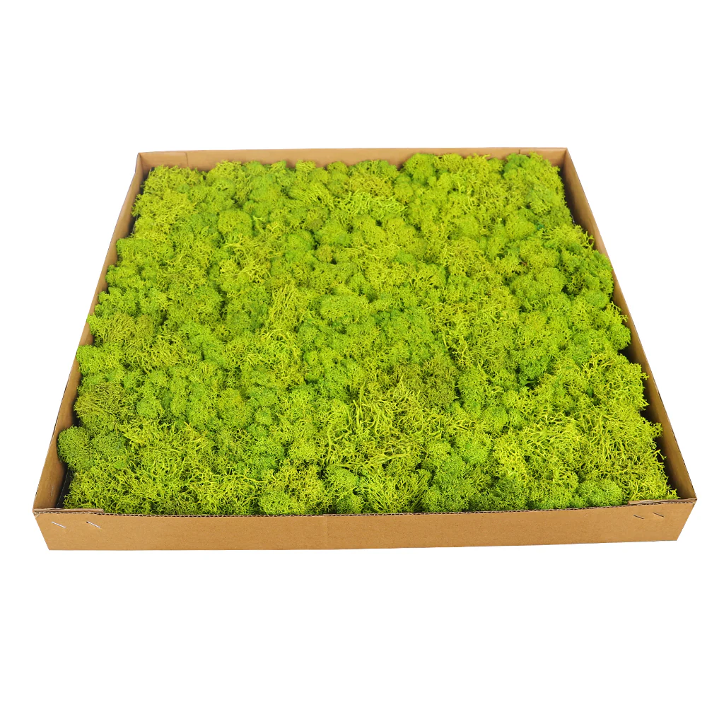 Preserved Moss Wall Panels - Image 7