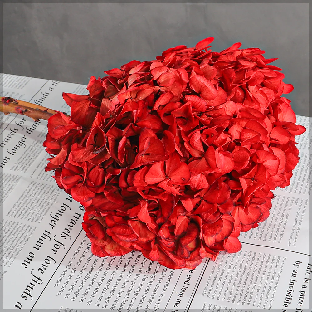 Preserved Hydrangea Flower(without vase)
