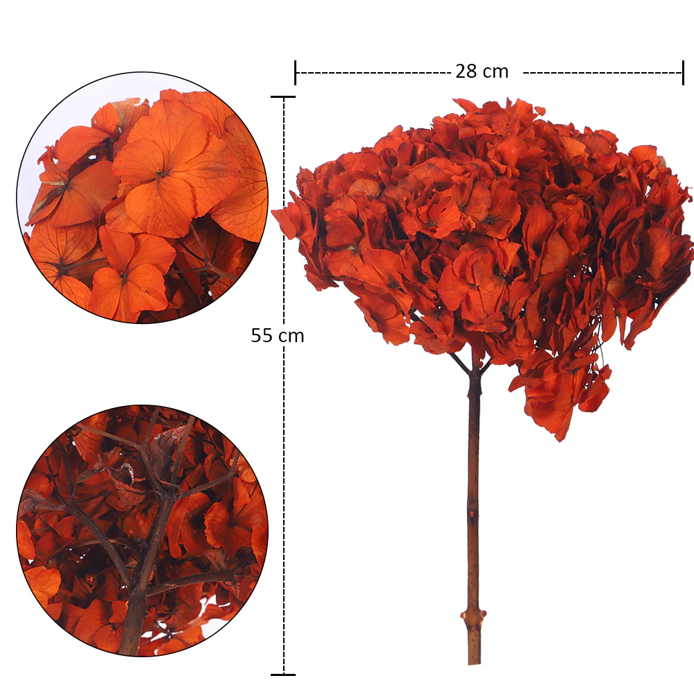 Preserved Hydrangea Flower(without vase) - Image 10
