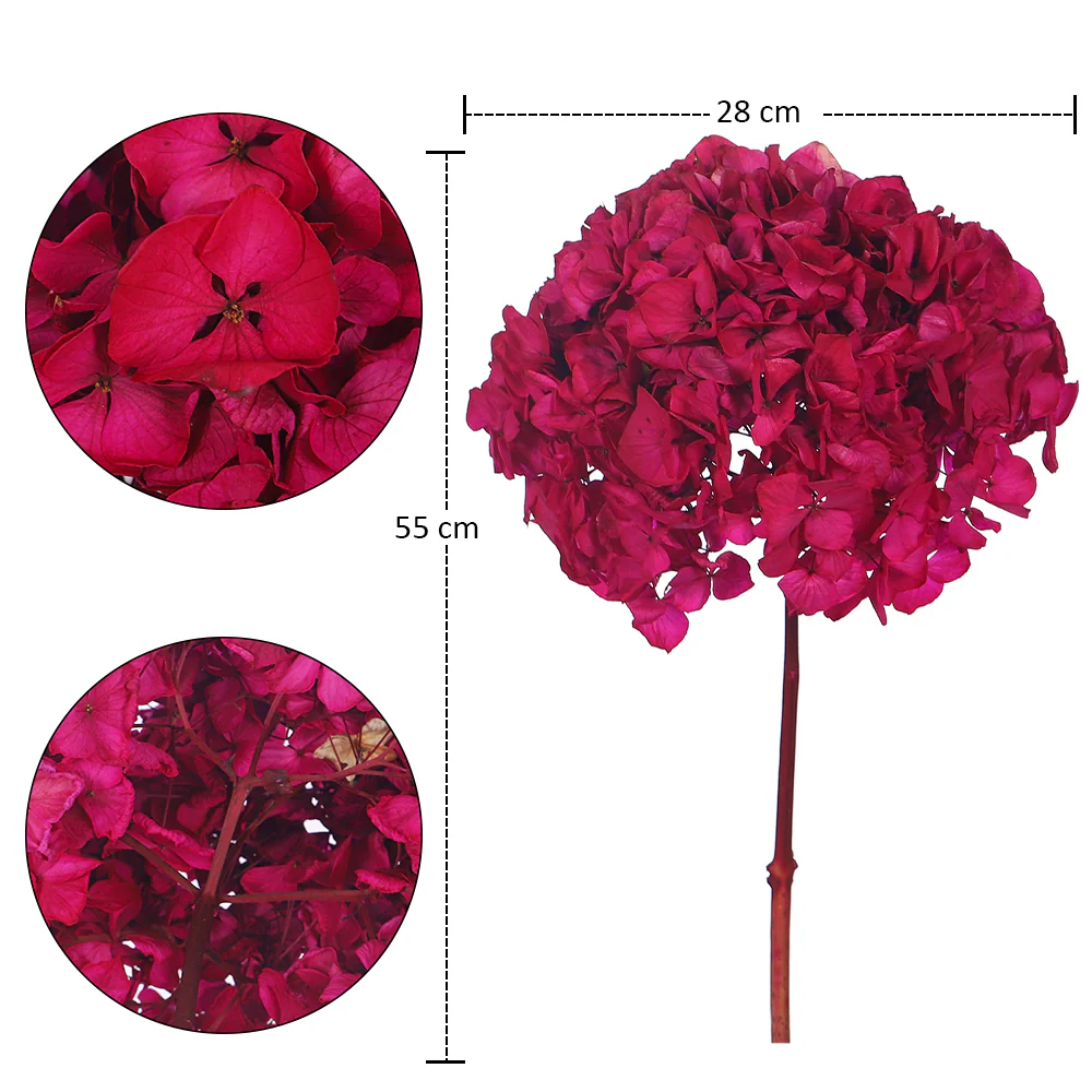 Preserved Hydrangea Flower(without vase) - Image 6