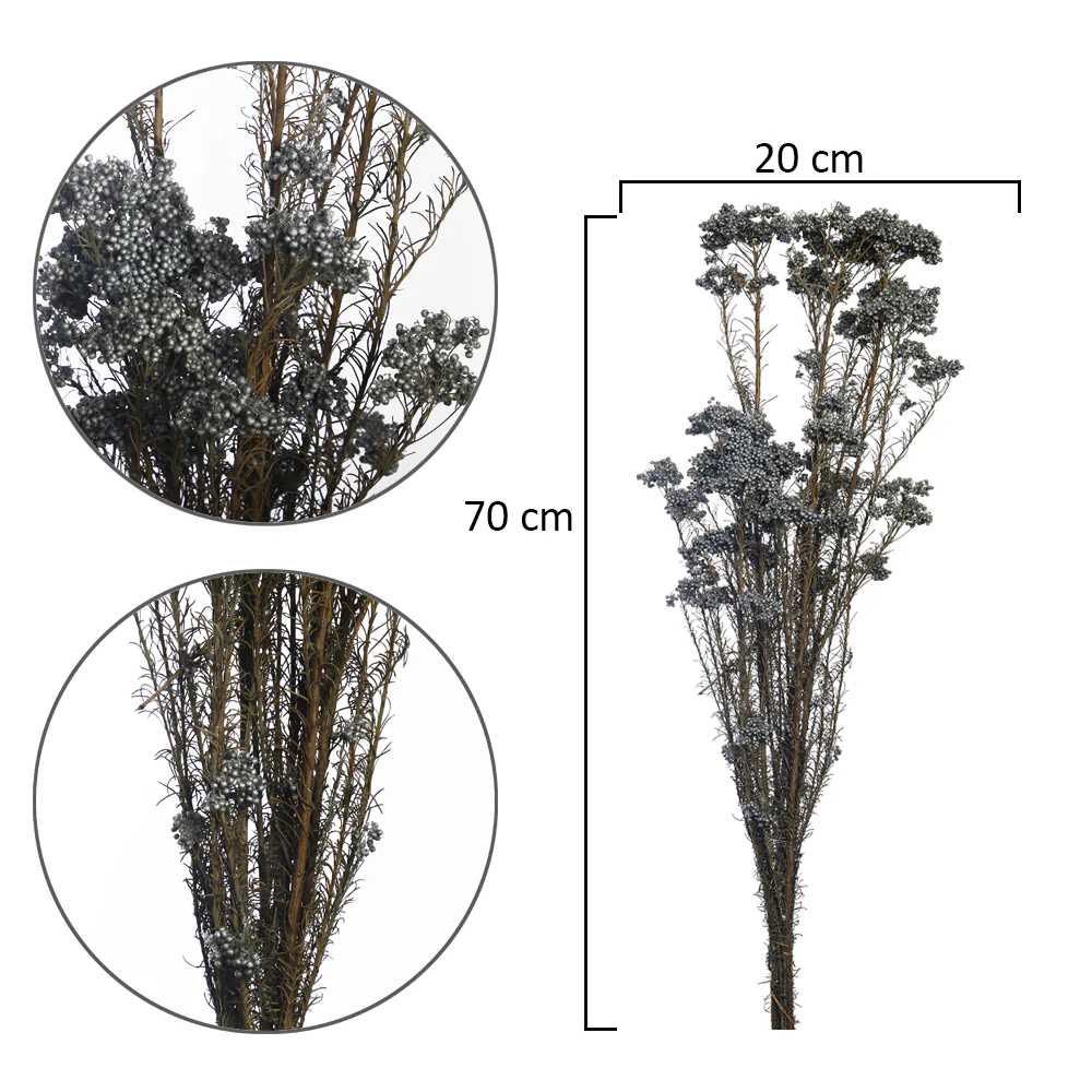 Preserved Rice Flower Bunch(without vase) - Image 9