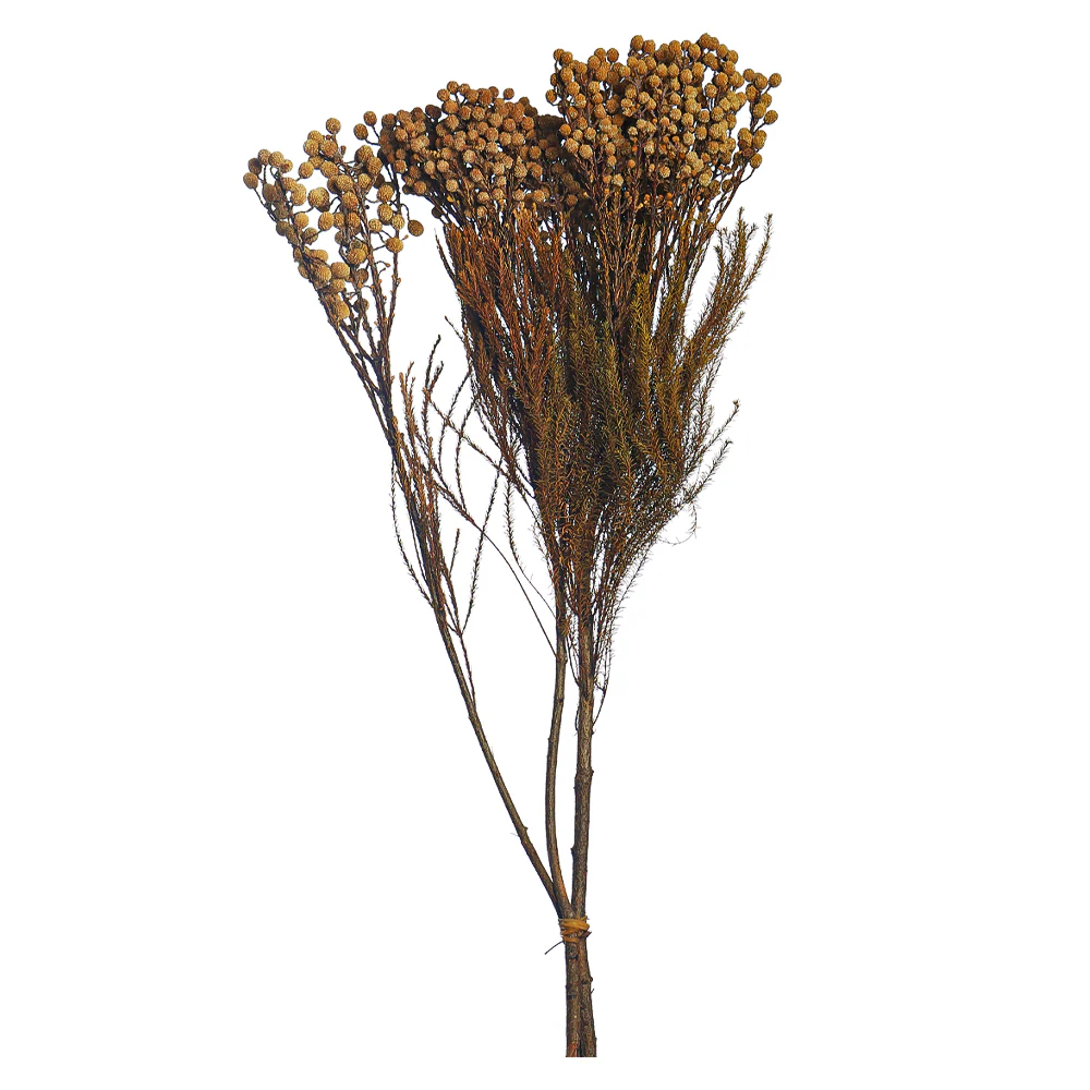 Single Bunch Preseved Dried Flowers(without vase) - Image 10