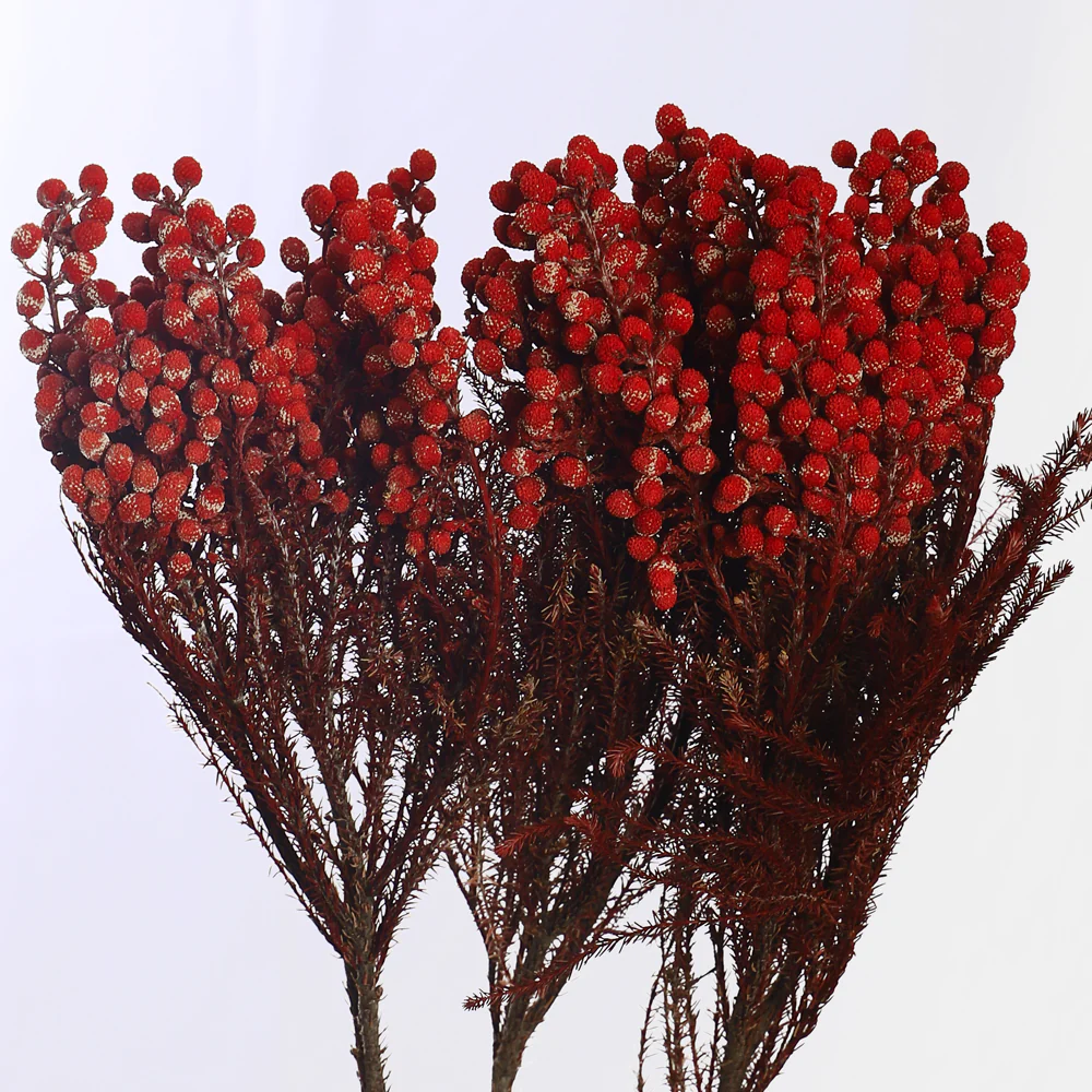 Single Bunch Preseved Dried Flowers(without vase) - Image 3