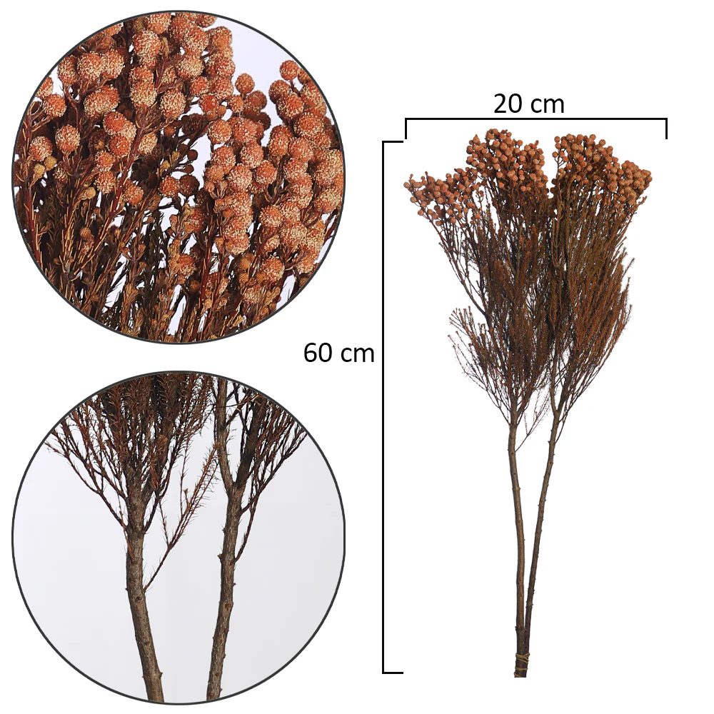 Single Bunch Preseved Dried Flowers(without vase) - Image 6