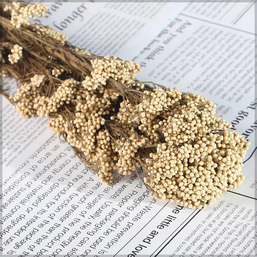 Real Natural Preserved Rice Flower - Image 4