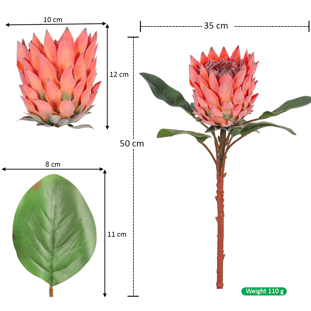 Realistic Flower King Protea SingleStem with Green Leaves(without vase) - Image 6