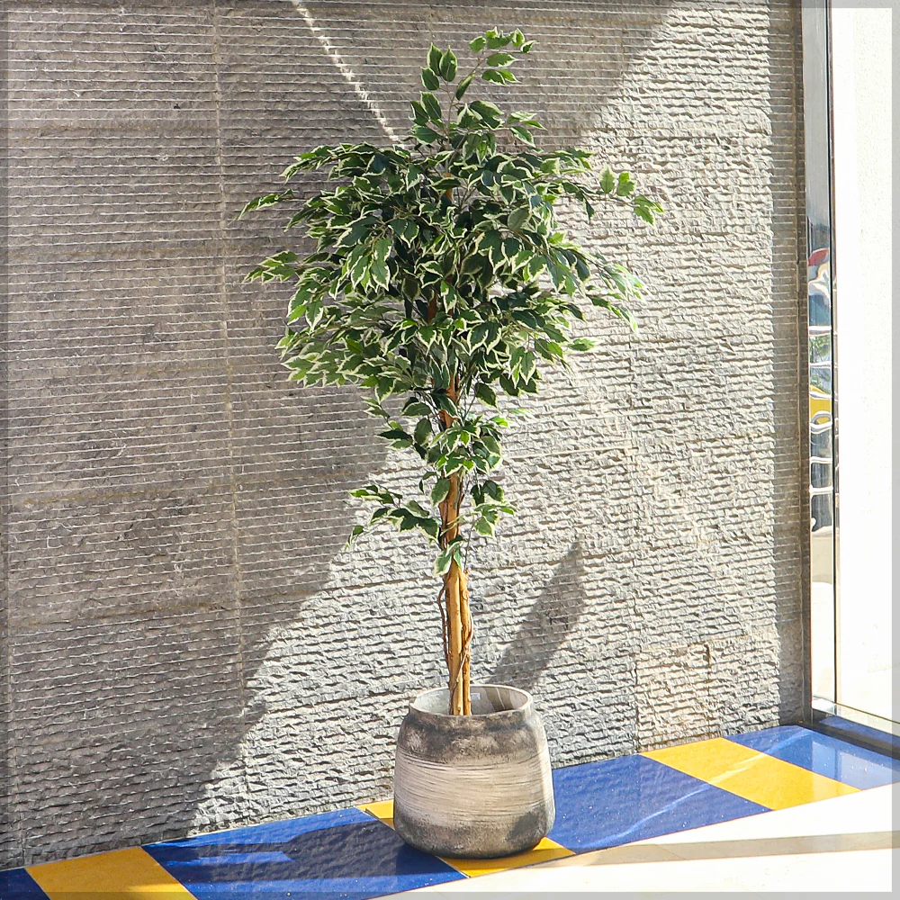 Retro Design Round Jar Shape Concrete Pot - Image 12