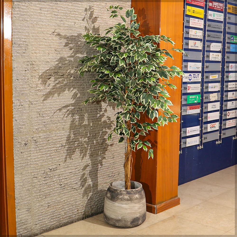 Retro Design Round Jar Shape Concrete Pot - Image 9