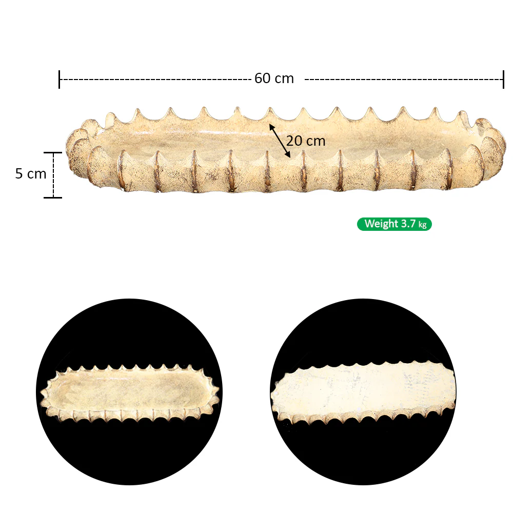 Ribbed Scalloped Cement Trough Planter - Image 2