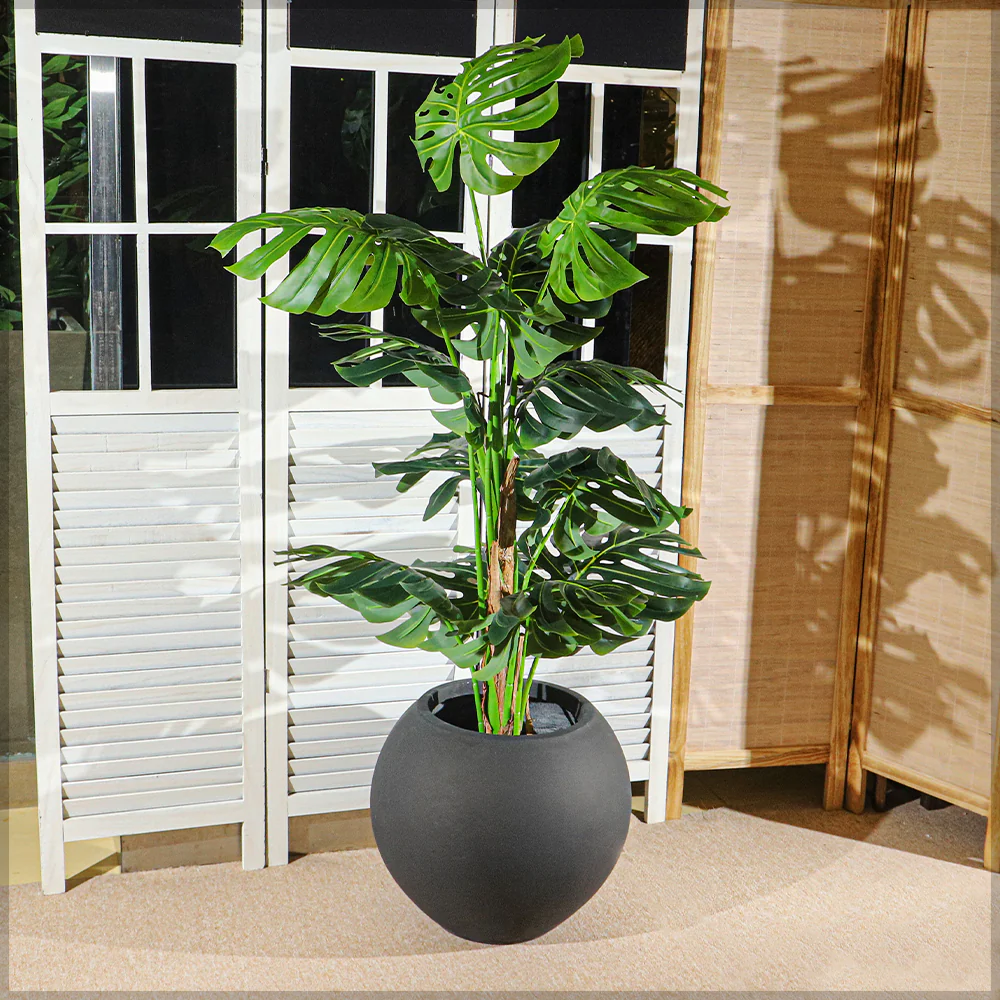 Round Black Concrete Planter - Image 7