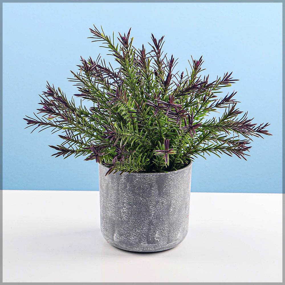 Round Gray Plastic Pot - Image 3