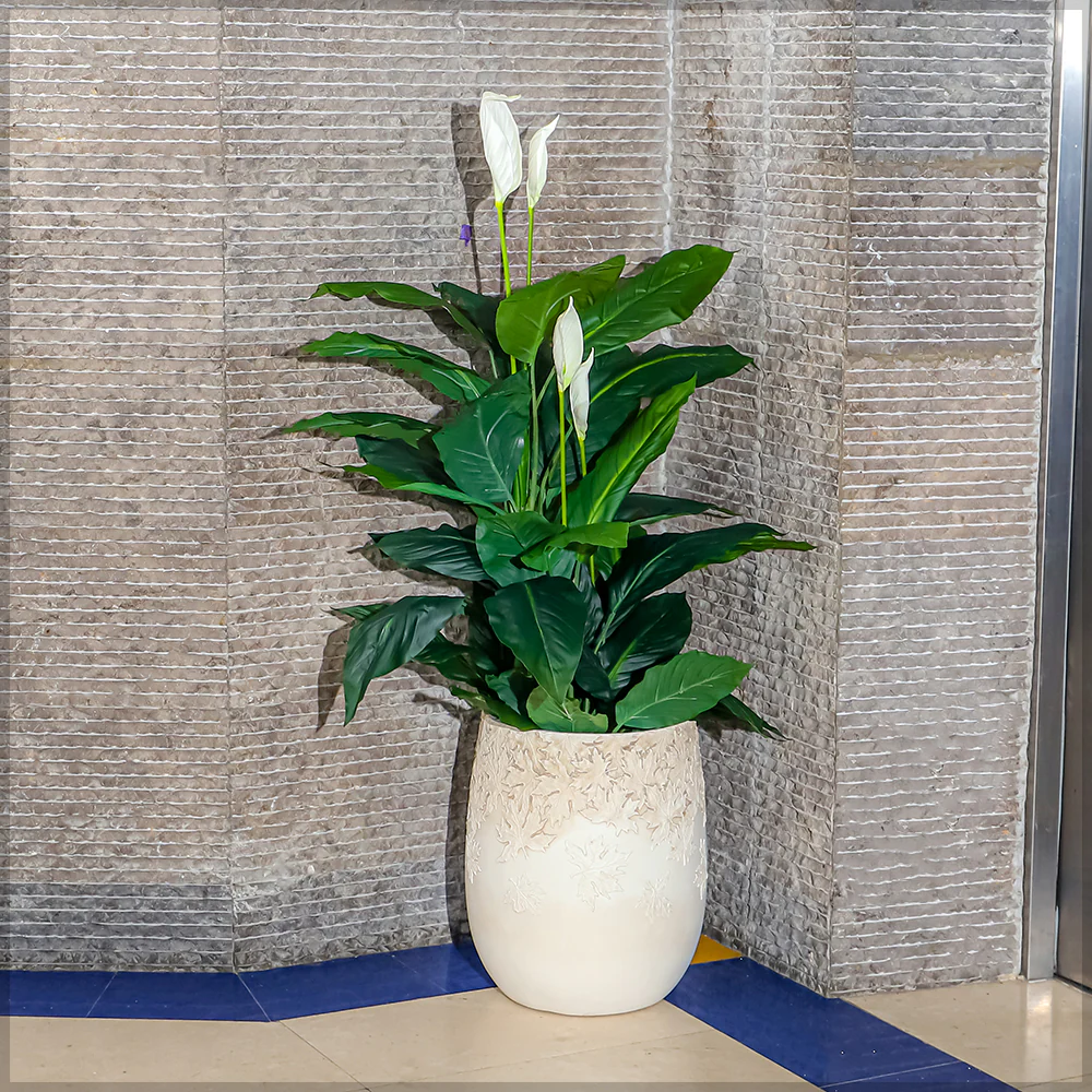 Round Maple Leaf Concrete Design Planter - Image 6