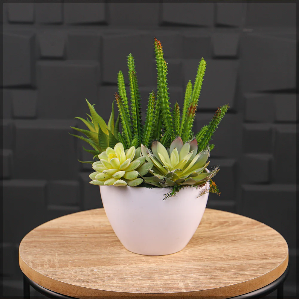 Round Modern Plastic Planters Pot - Image 3