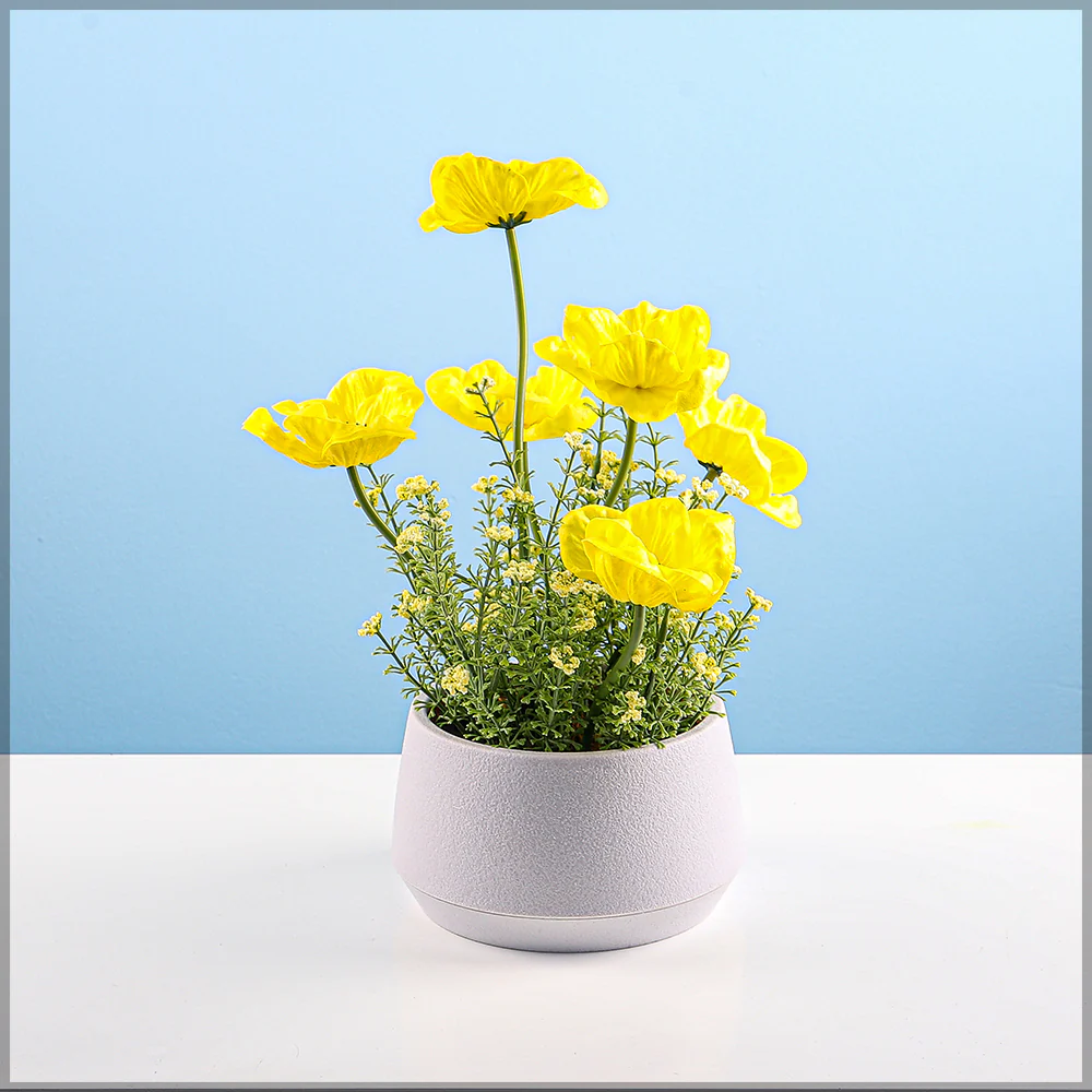 Round Plastic Planter Pots - Image 3