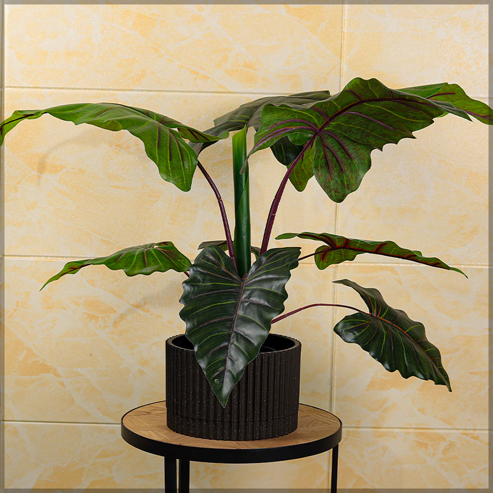 Round Ribbed Plastic Pot - Image 6