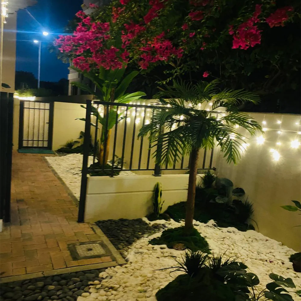 Serene Tropical Garden Walkway for display purposes only (non-sale) - Image 5