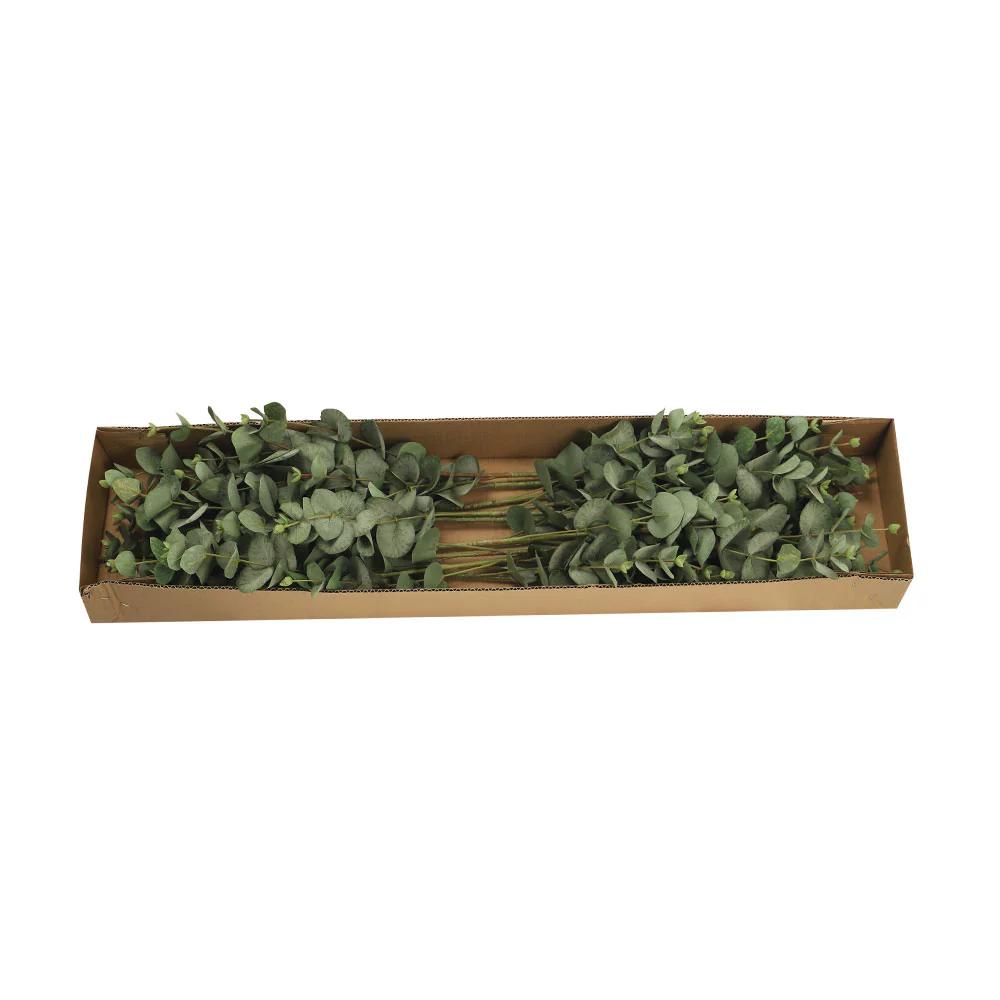 Silk Artificial Eucalyptus Leaf Green - Image 5