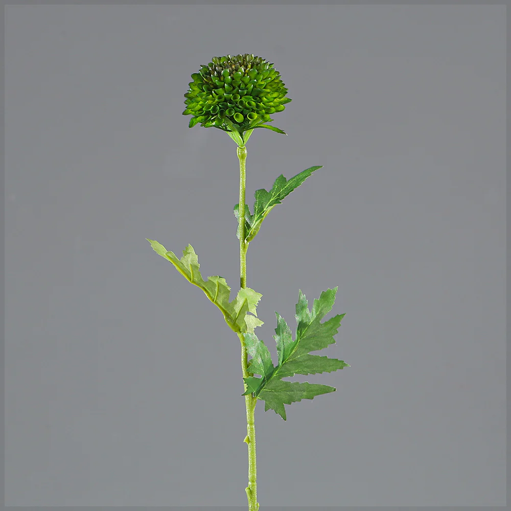 Single Stem Emerald Pom Bloom