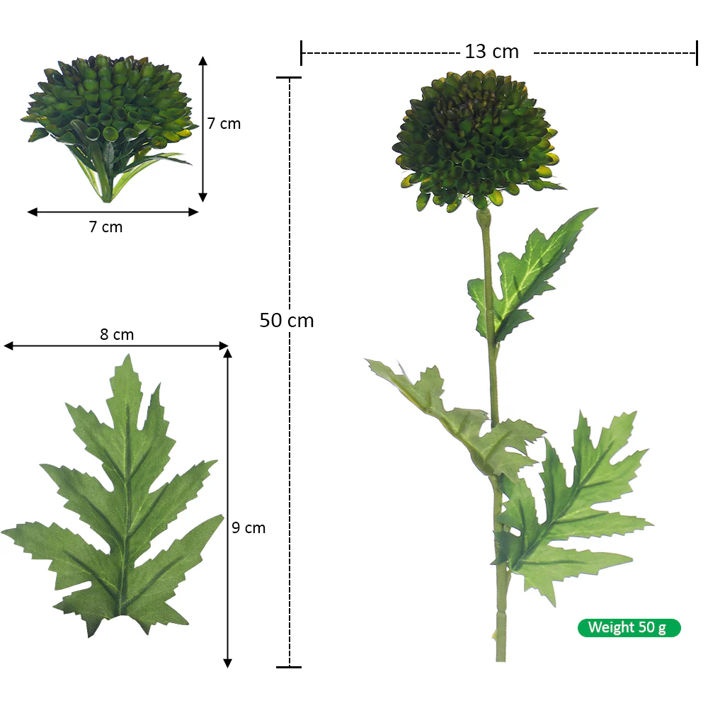 Single Stem Emerald Pom Bloom - Image 2