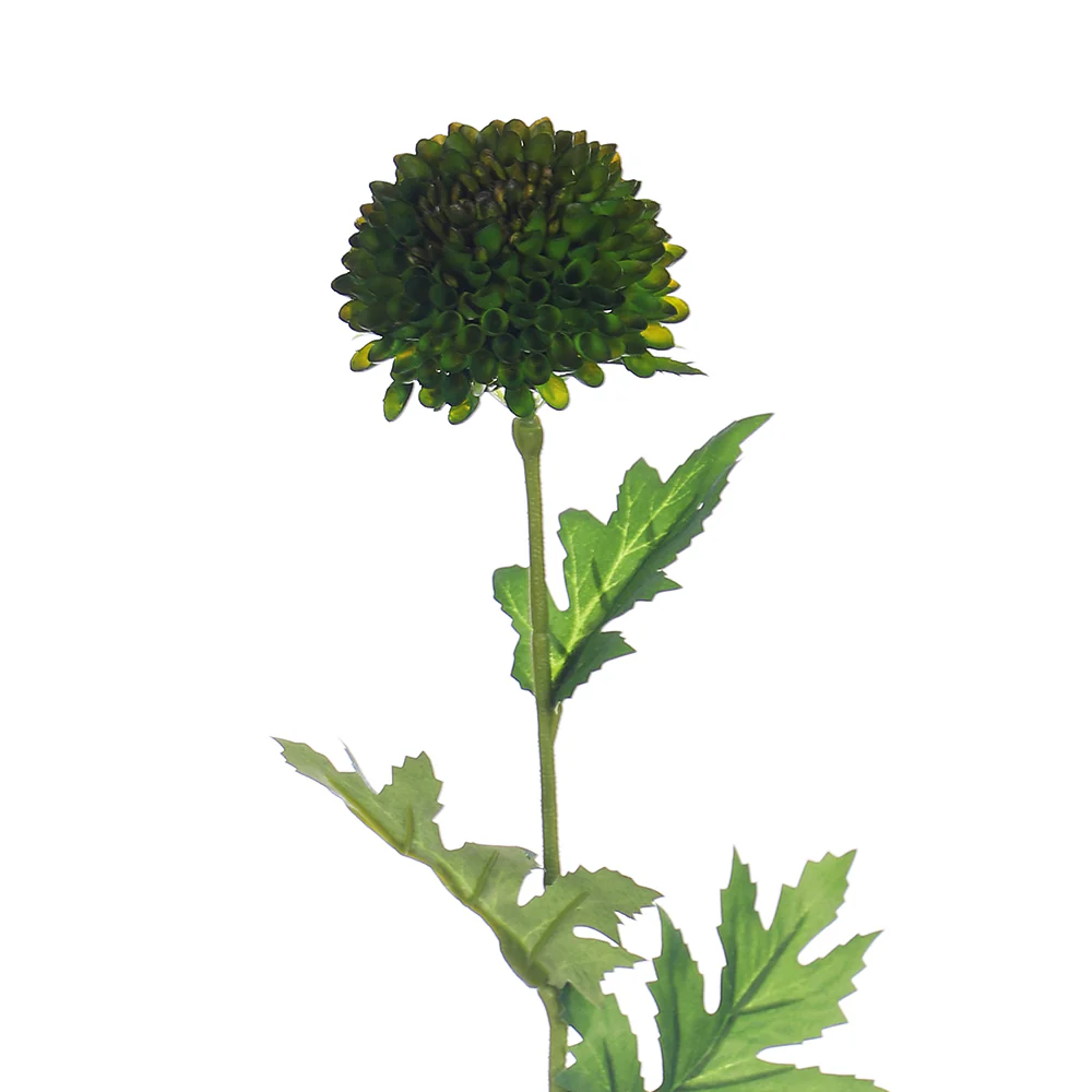 Single Stem Emerald Pom Bloom - Image 3