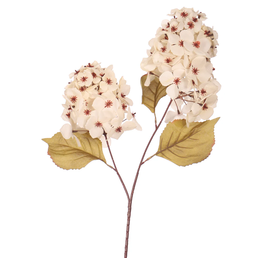 Single Stem Hydrangea Flower without Vase - Image 12