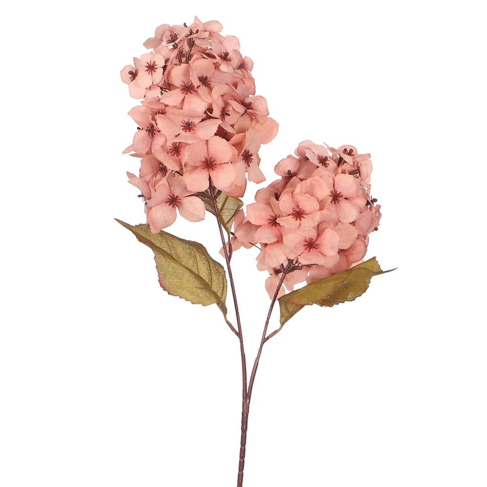 Single Stem Hydrangea Flower without Vase - Image 2