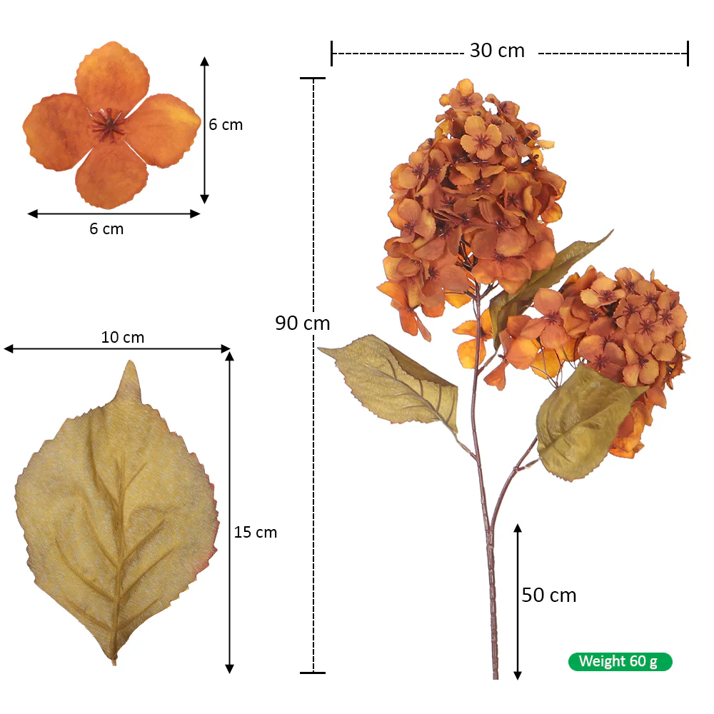 Single Stem Hydrangea Flower without Vase - Image 8