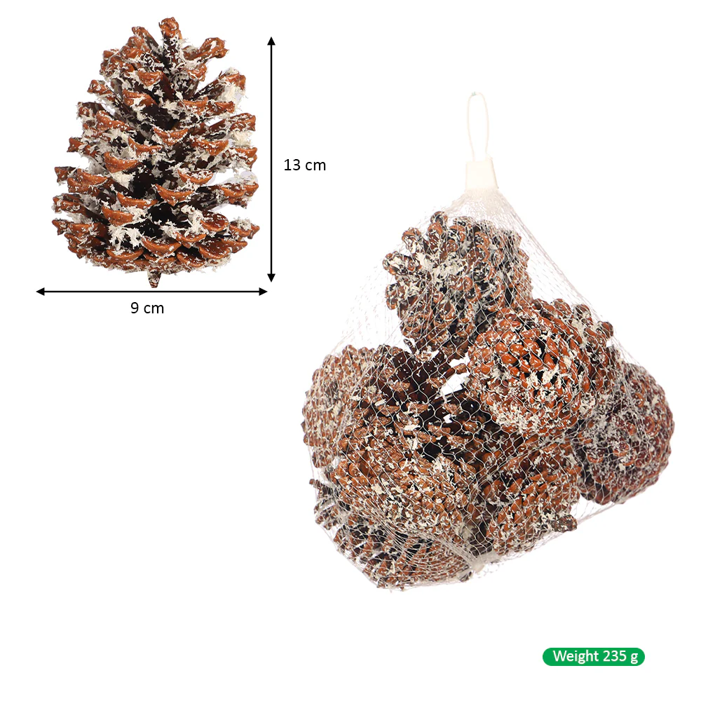 Snow-Dusted Pinecone - Image 3