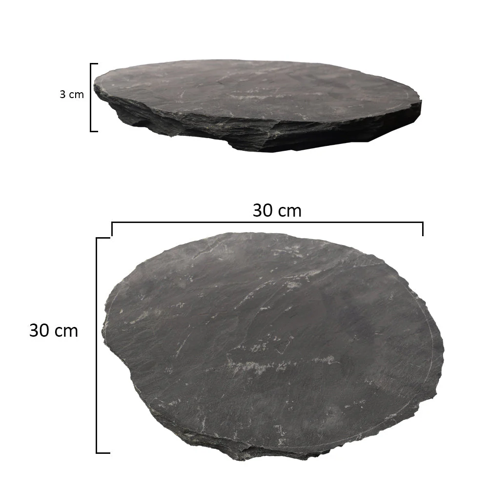 Stepping Stones - Image 2