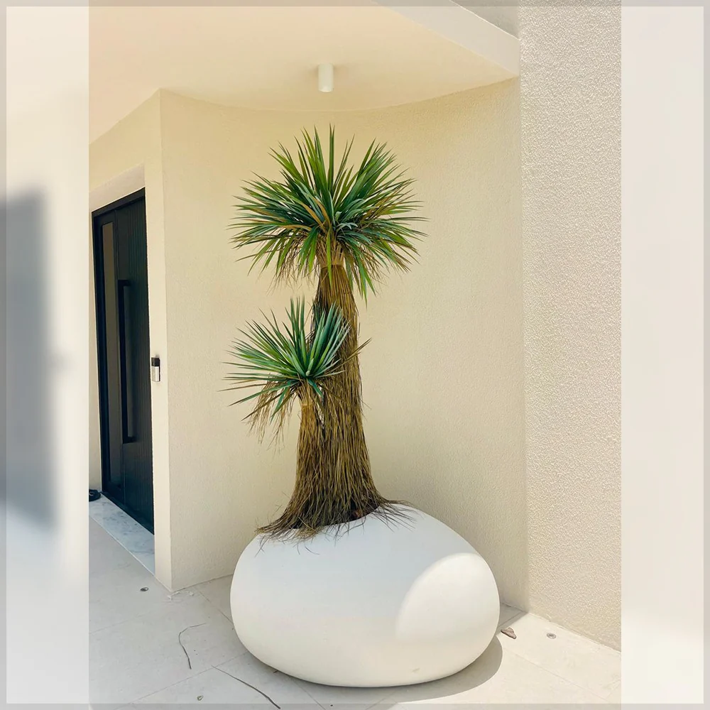 Striking Yucca and Elegant Indoor Fiddle Leaf Fig - Image 4