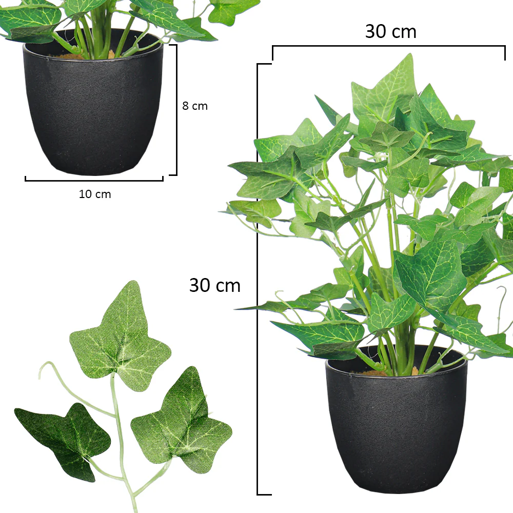 Table-top Ivy Plant - Image 2