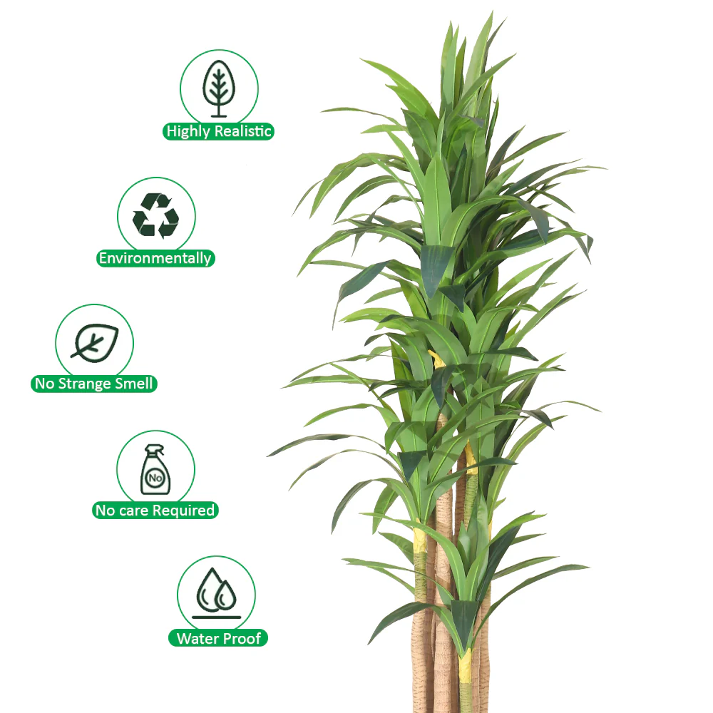 Tall Tropical Dracaena Plant - Image 6