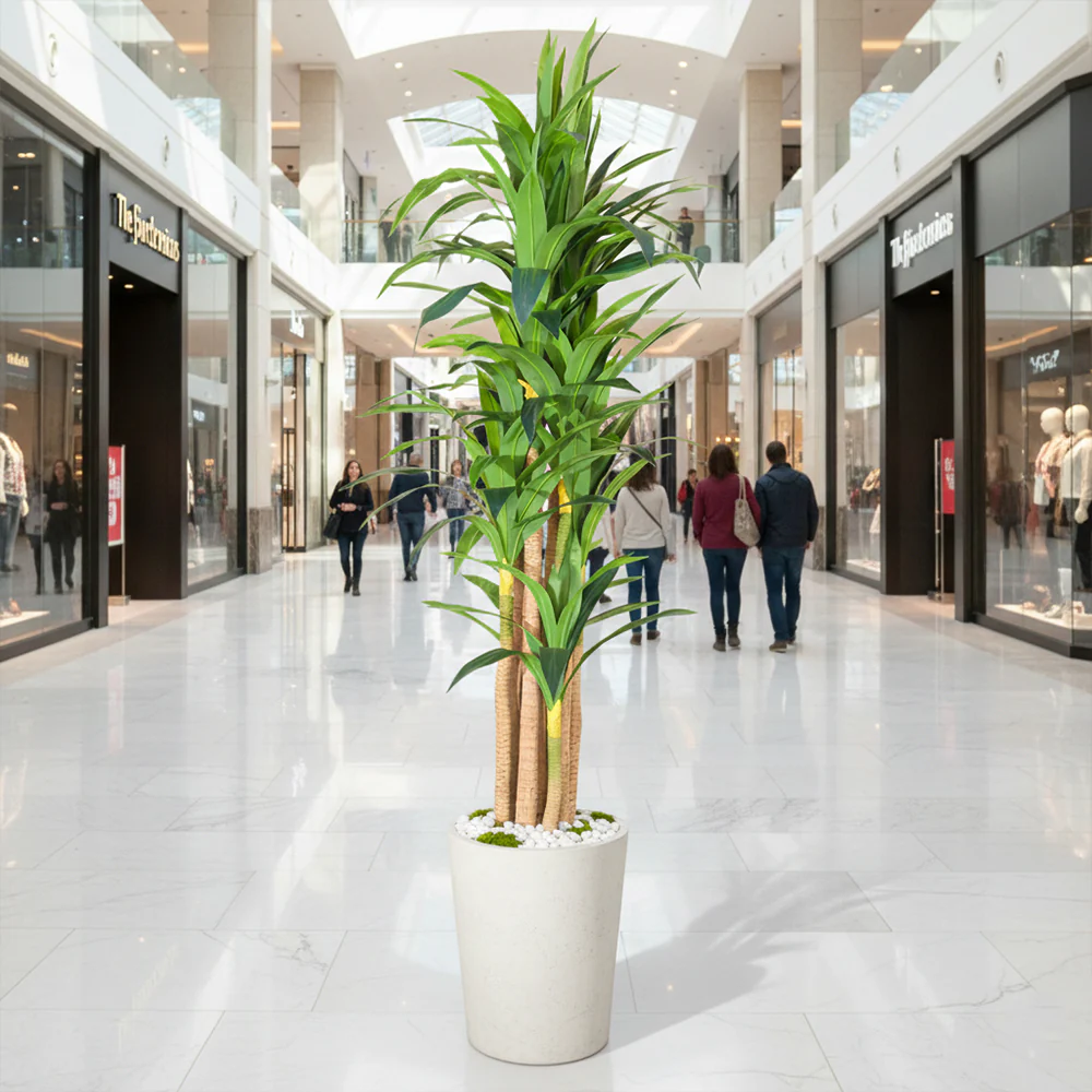 Tall Tropical Dracaena Plant - Image 8